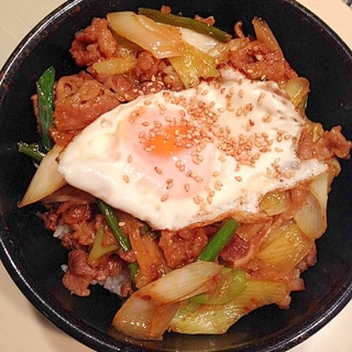 カルビと長ネギと半熟卵丼